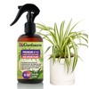 Gardenera Professional Spider Plant Spray Fertilizer Mist for Home Gardening