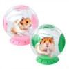 Hamster Exercise Ball, 7.9 Inch Syrian Hamster Ball, Transparent, Large