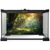 Fantasy Forest Reptile Tank Background Lightning Bugs Fireflies Forests Field