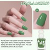 NovaCharm Fresh Green Fingernail Polish - Sage Green Nail Polish