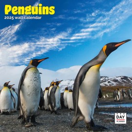 Dayplanner Publishing Penguins Calendar 2025, Large Square Wall Calendar, 16 Month, Penguins Gift Wildlife Calendar