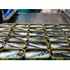 5 x 120 g x Bon Appetit Sardines in olive