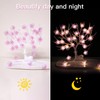 suddus Fairy Lights with Cherry Blossom, 12.8 ft 40 LED