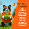 Organic Cat Grass | Non GMO Mixed Heirloom Seeds |