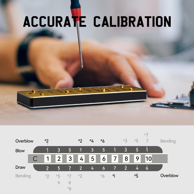SDREAM Blues Harmonica for Adults Beginner,Professional Musicians, Students,Harmonicas key of