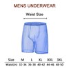 Calzoncillos de malla sexy para hombre, ropa interior transparente, Azul