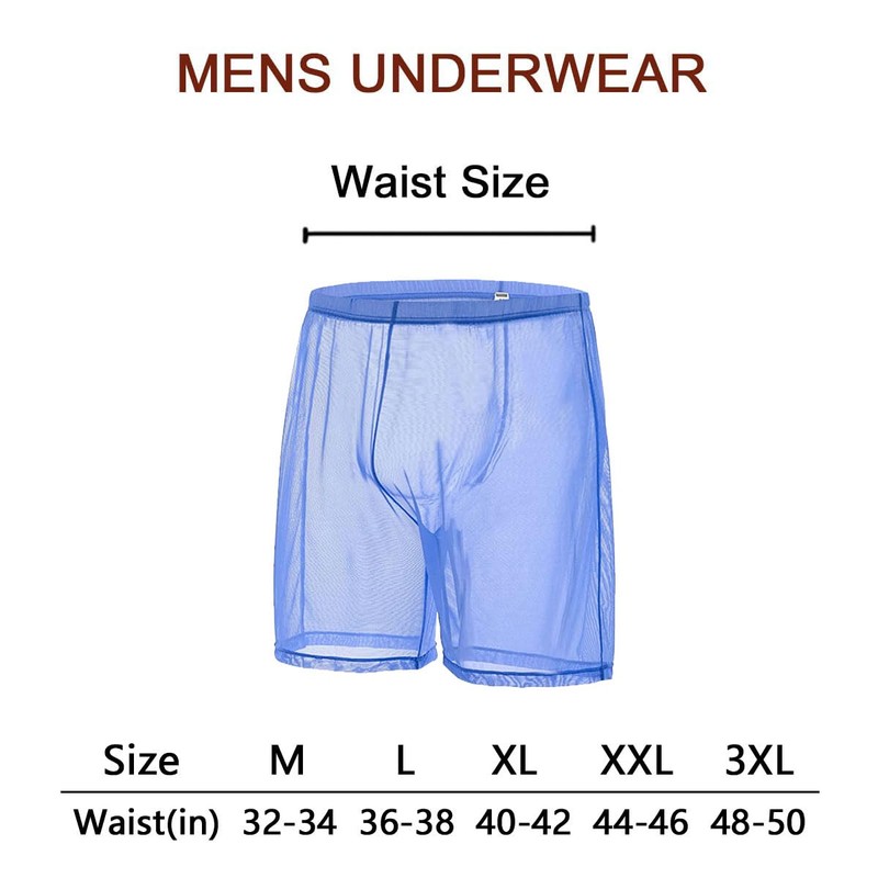 Calzoncillos de malla sexy para hombre, ropa interior transparente, Azul