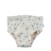 Popolini Training Briefs Supports and Helps Clean - Adjustable (74/80,