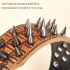 FUNAT Anti Bite Rivet Dog Collar, Mighty Pointed Nail Medium