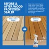 EcoDecors Loveable 16oz Teak Protexion Sealer Spray - 2 Pack
