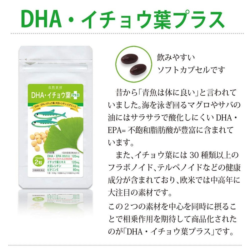 大日ヘルシーフーズ DHA EPA イチョウ葉 80粒入×6袋（8ヶ月分） 大豆レシチン ビタミンE 配合 サプリ