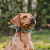Herm Sprenger Camouflage Green Nylon Cover for Ultra-Plus Pinch Dog