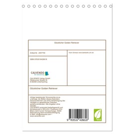 Glücklicher Golden Retriever (Tischkalender 2026 DIN A5 hoch), CALVENDO Monatskalender: Hundealltag (CALVENDO Tiere)