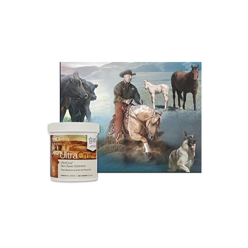 UltraCruz UltraCruz Equine Skin Save Ointment for Horses, 16 oz