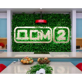 BOXSAND-6 (12"x26") Living Wall - Wall Planter, Vertical Garden for 6 Plants, Indoor/Outdoor, 2 Screws Install (Black) with Black Square Pots