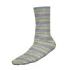 Wollbiene Socks Colour Sock Wool, 100 g, 4-Ply Knitting and