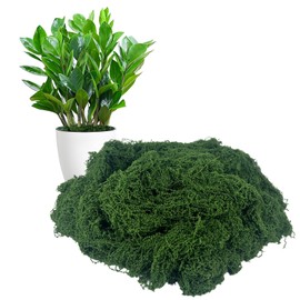 Fake Green Moss for Potted Plants Indoor, 5.3oz Artificial Moss for Crafts, Realistic Faux Moss Decor for DIY Fairy Garden, Terrariums, Table Centerpieces, Wedding & Home Decor