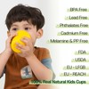 Dulce Worlds Sugarcane Toddler Cup 300 ml - Set of