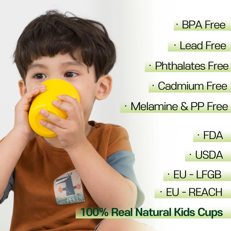 Dulce Worlds Sugarcane Toddler Cup 300 ml - Set of