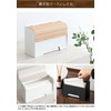 Miyatake Seisakusho MC-1400M Mask Case for Magnetic Entrance Door, White