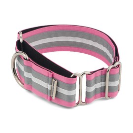 If It Barks - 1.5" Martingale Collar for Dogs - Adjustable - Nylon - Strong and Comfy - Ideal for Training - Made in USA - Small, Spunky