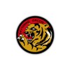 Sticker 54 Stormo Caccia Italian Air Force Badge 7 cm