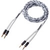 HANNLINTE 14AWG Speaker Wire Cable (3 Feet), 1 Pack Premium