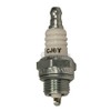 Champion Spark Plug, CJ6Y