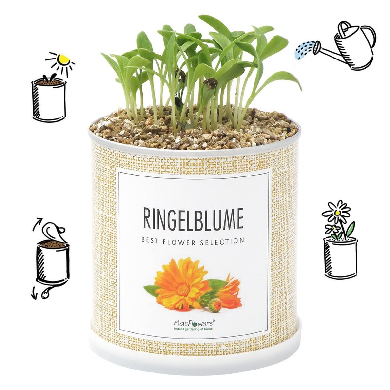 MacFlowers® Cultivation Set Real Marigolds | A Variety with Yellow