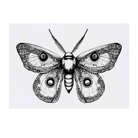 'Gothic Moth' Temporary Tattoo - Water Resistant, Skin-Safe, Non-Toxic Transfer (TO00084463)