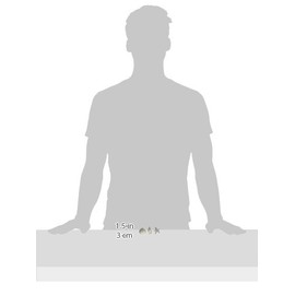 Lucks Dec-Ons Molded Sugar/Cup-Cake Topper, Seashells and Starfish Assortment, 1 1/4 - 1 1/2 Inch, 144 Count