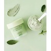 Skin79 Green Tea Purifying Clay Mask 100ml