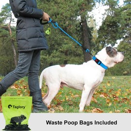 Taglory Rope Dog Leash 6 FT with Comfortable Padded Handle, Highly Reflective Threads Dog Leash for Medium Large Dogs, 1/2 inch, Blue