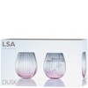 LSA International Tumbler, Pink/Grey, 2 Count (Pack of 1)