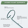 Joyhalo 12 Pack Plant Support Stakes 24 Inch, Plant Stakes,