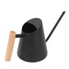 Watering Can with Long Spout 800ml Stainless Steel Matte Indoor