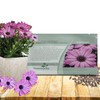 Outsidepride Lavender Osteospermum African Daisy Seeds - 20 Pcs. Perennial