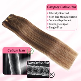 Clip in Hair Extensions Real Human Hair, Seamless Clip ins Real Human Hair for Women, Balayage Remy Human Hair Clip in Extensions, Double Weft 8pcs 24 inch Chocolate Brown to Caramel Blonde