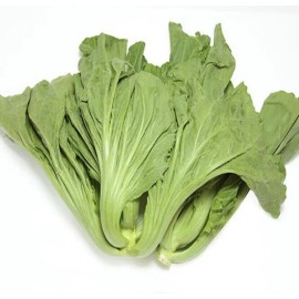 Mustard 600+ PCS MUSTARD  DA PIN PU, CẢI BẸ DƯA  |NEW SEEDS FREESHIP|