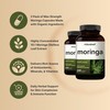 NatureBell Pure Moringa Capsules 8,000mg Per Serving (2 Pack) |