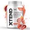Xtend Original BCAA Powder 7g BCAA and 2.5g L-Glutamine, Sugar