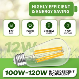 Dimmbar E27 LED Warmweiss Glühbirne 100W 2000Lumens 12Watt Vintage Energiesparlampe Ersatz für 120W Glühlampe, 2700K Warmweiß Edison Leuchtmittel für Tägliche Beleuchtung.Kein Flackern,230V,2Stück