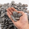 2.4LB River Rocks Mexican Beach Pebbles for Garden Landscape Stone