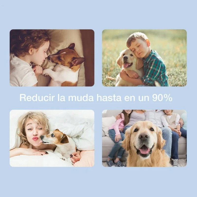 Cepillo Peine Deslanador Perro Gato Para Quita Pelo 2 En