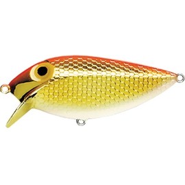 Storm TF06-109 Original Thin Fin Lure 2-1/2", 1/5 oz, Metallic Gold Fluorescent Red