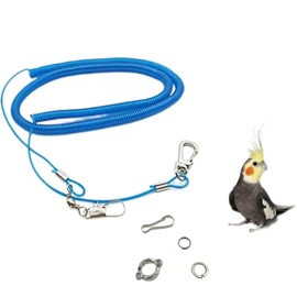 Parrot Flying Rope, Parrot Foot Chain Flying Training Leash Outdoor，Anti-Bite Elastic String Training Harness for Agapornis Cockatiels Starling Birds (Blue, One Size)