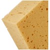 Holtz Blackboard Sponge Single Pack of 1 Brown