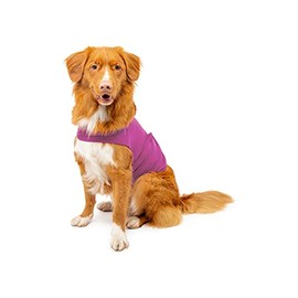 Mellow Shirt Dog Anxiety Calming Wrap, Medium, Radiant Orchid