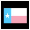 Trans Pride Texas Flag Bumper Sticker Vinyl Decal 5"