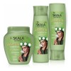 Kit Shampoo+acond Y Mascarilla Skala Jaborandi Cabello Graso